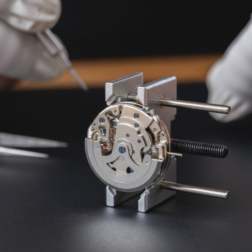 Mechanical Watch Movement Exploration Kit