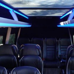 luxury minibus hire by TJs Travel, Maisy Grace 2