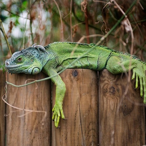 tropical world days our with kids