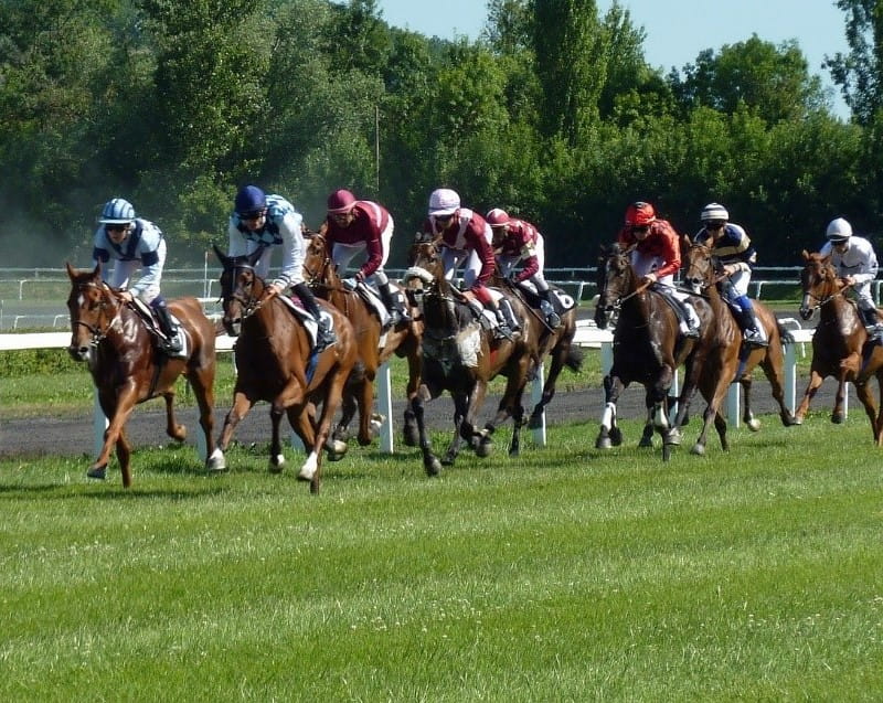 Ebor Beginners Guide
